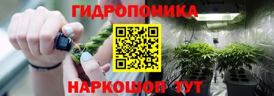 мяу мяу мука Малоярославец
