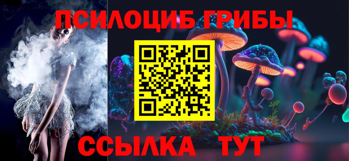 Чернушка  Галлюциногенные грибы Psilocybe  Вход с VPN 